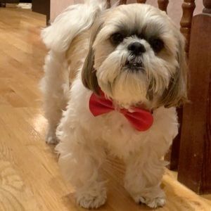 Meet your Posher, Ethan